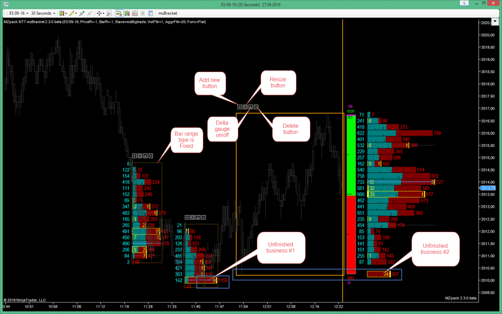 mzBracker Volume Profile developing