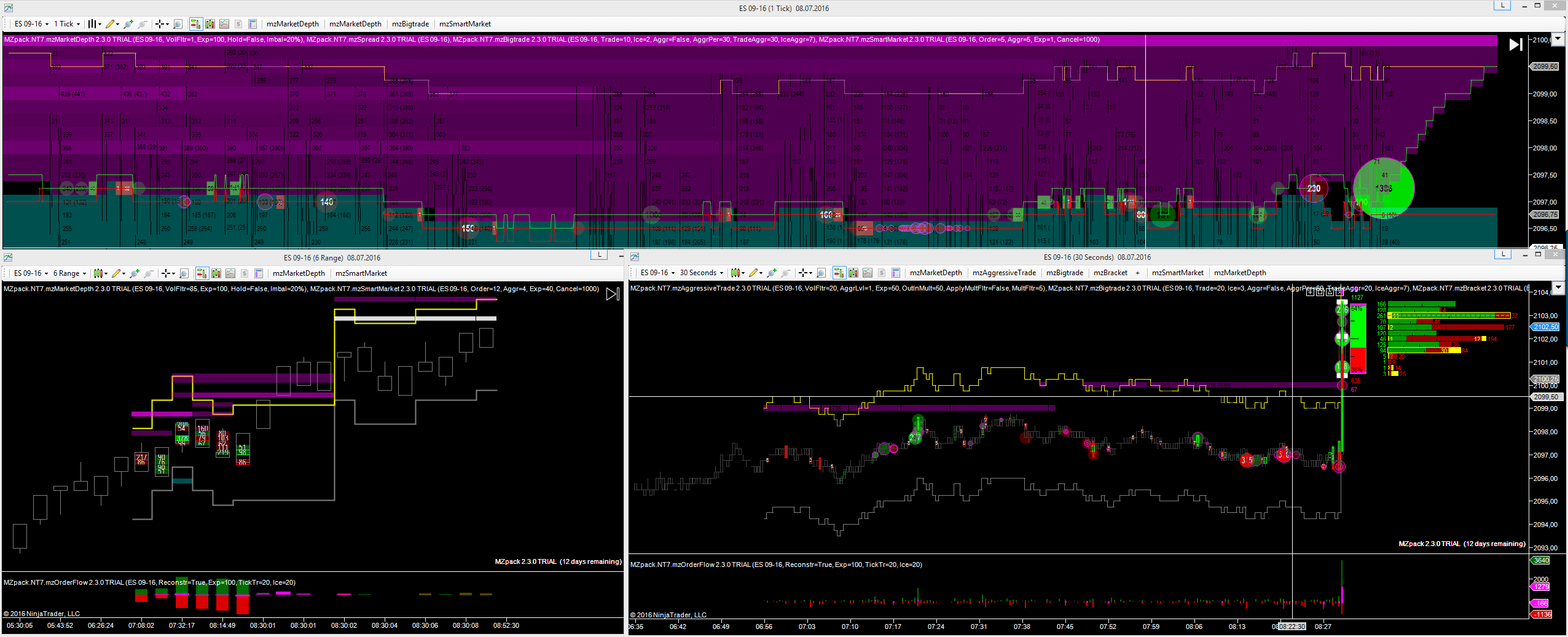 MZpack 2 NinjaTrader 7 workspace for 6E futures