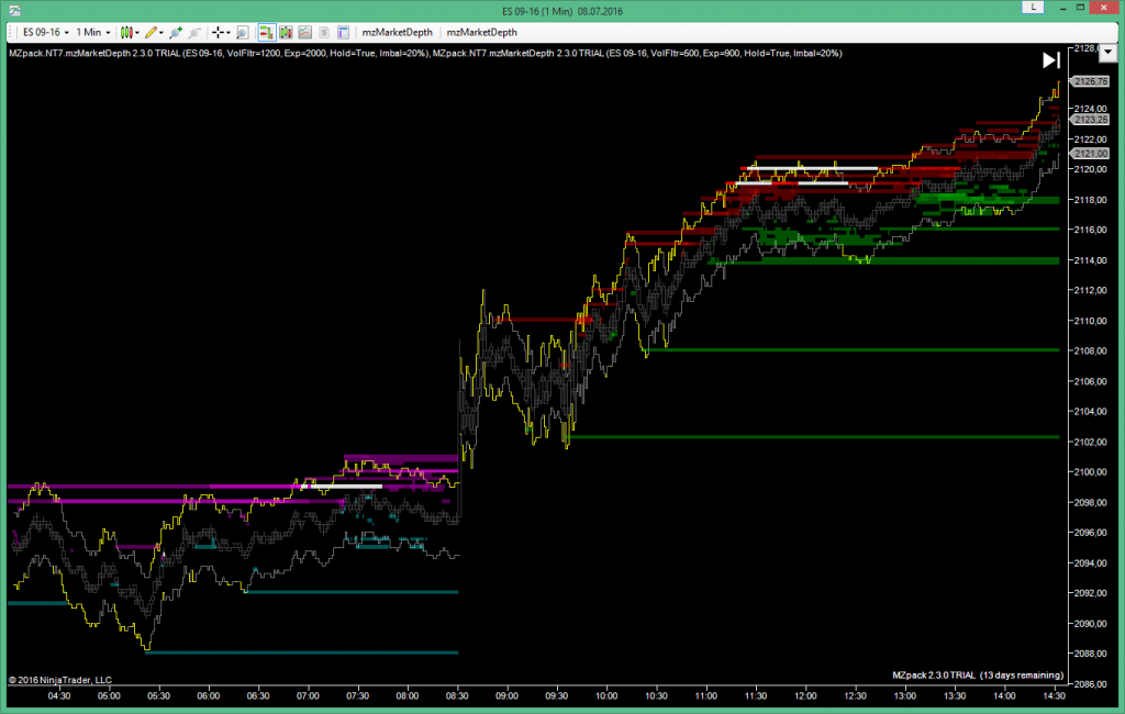 mzMarketDepth for NinjaTrader 8 - Working Times